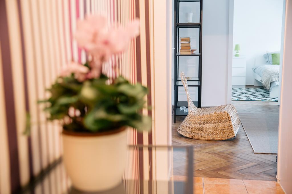 Neo Apartment Horea Cluj-Napoca Eksteriør bilde