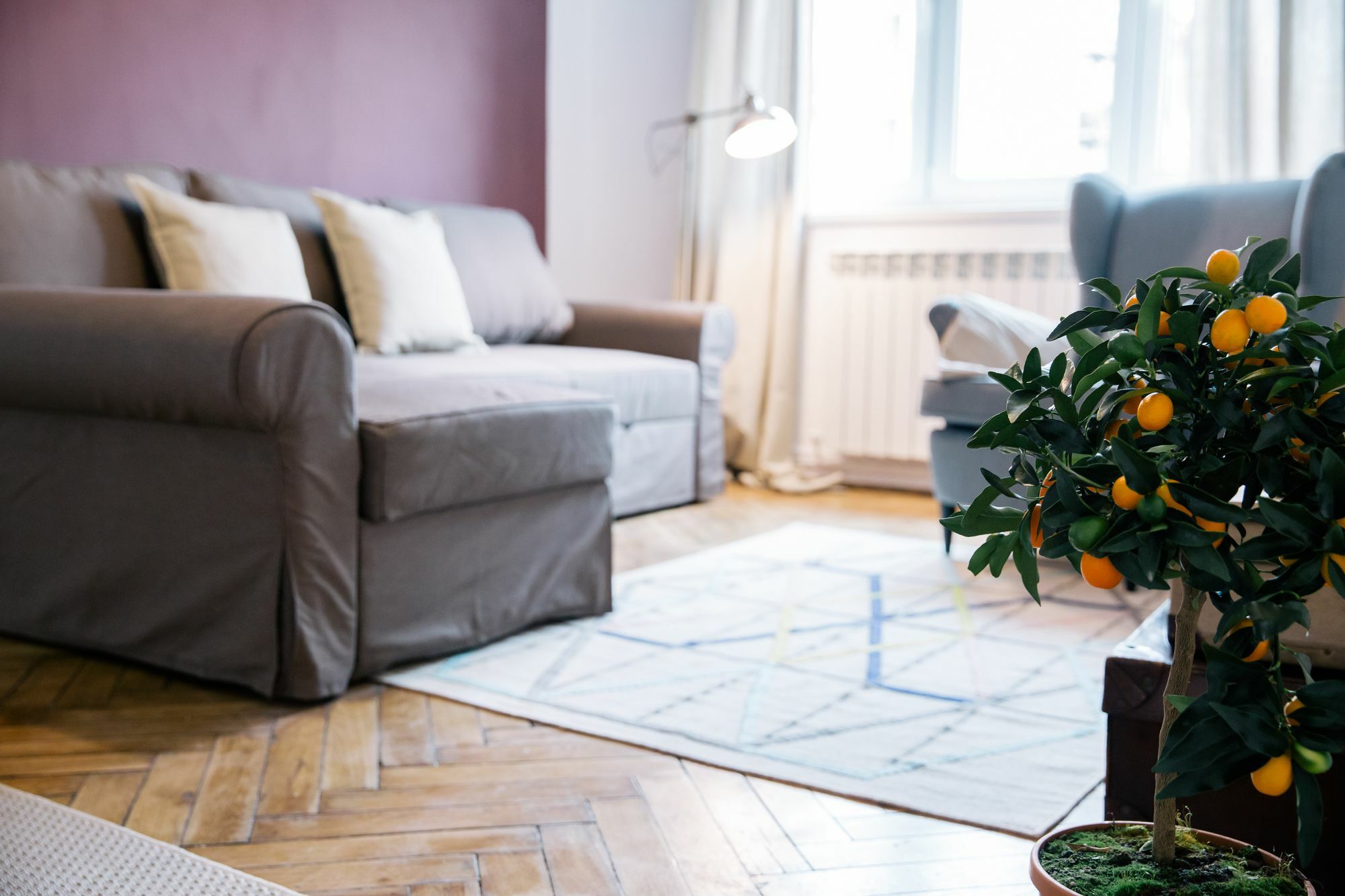 Neo Apartment Horea Cluj-Napoca Eksteriør bilde